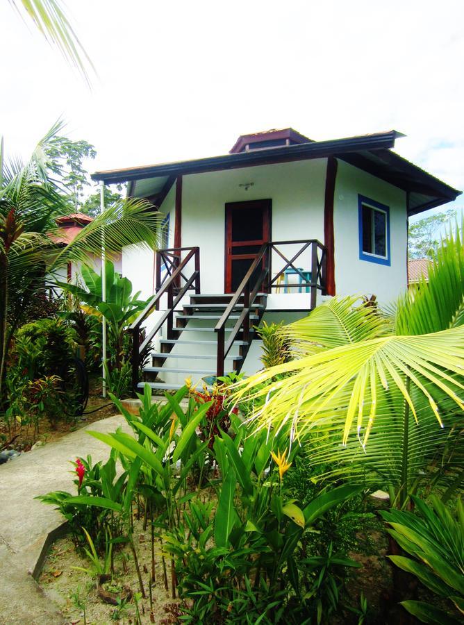 Casa Abundancyah B&B 보카스 타운 외부 사진