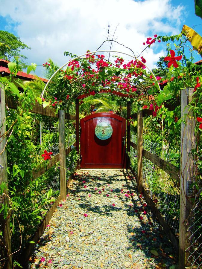 Casa Abundancyah B&B 보카스 타운 외부 사진